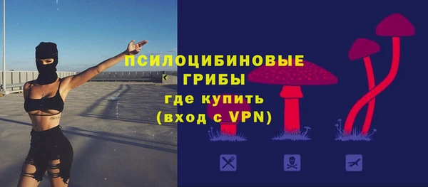 эйфоретик Алексин