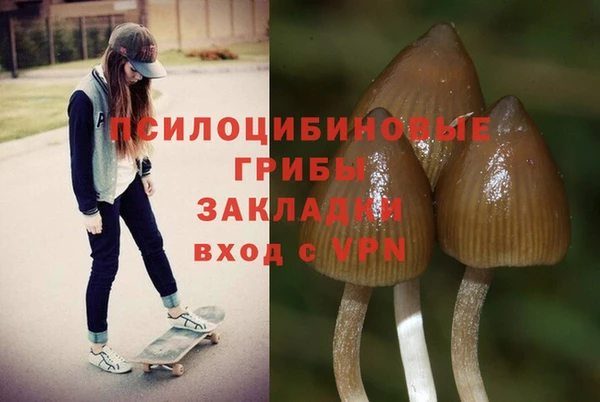 стаф Абинск
