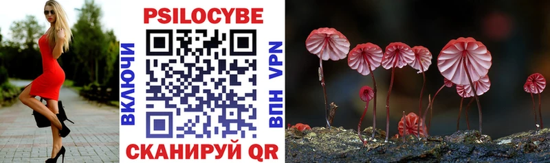Галлюциногенные грибы прущие грибы  Нелидово 